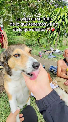 Con su casita nueva ya no volver a sentir más frío 🐶❤️‍🩹 | Jose Delgado