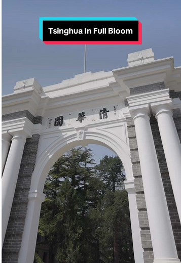 Tsinghua In Full Bloom: A Perfect Campus Day