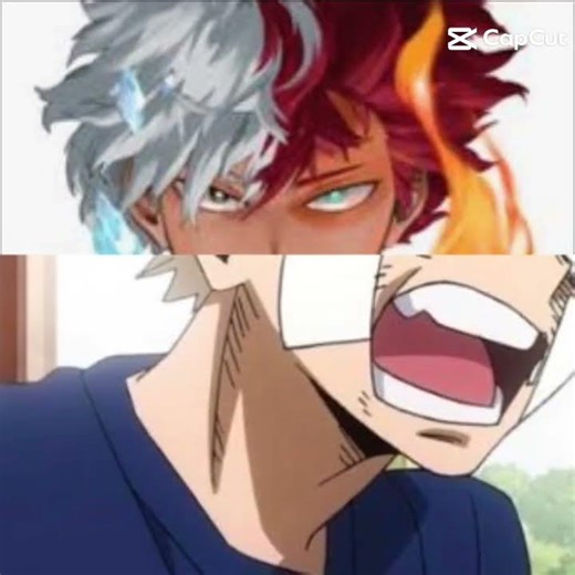 not Todoroki's problem Bakugo :)