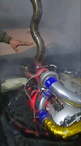 First Burnout and Test with BMW E90 335i N54 Singleturbo Burnout Car #machita #machitasts #stsmachita #sts #bmw #e90 #335i #n54 #singleturbo #burnout #burnoutcar #king #cobra #snake | Irakli Machitidze
