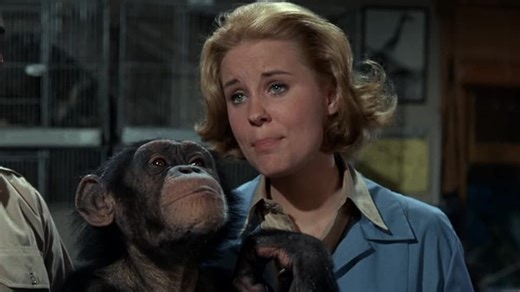 Daktari S01:E14 - The Hostages