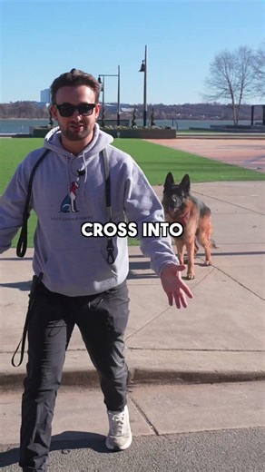 Does your dog know this ESSENTIAL behavior?