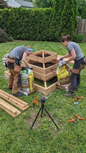 Stop buying grocery store herbs! Do this! 🌱🪵 #diyplanter #garden #satisfying