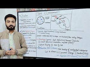 Lysosomes Structure and Function | Cell Biology