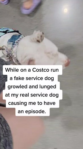 Roxxann M.J. Cordova on TikTok