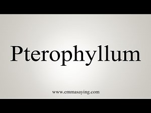 How To Say Pterophyllum