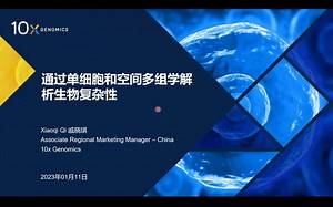 利用10x Genomics单细胞平台和PacBio MAS-Seq进行单细胞全长转录组测序