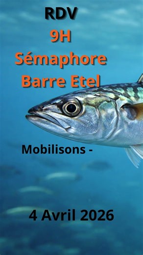 📢Pêcheurs de loisir en colère, manifestation ETEL non au quota maquereau 📢 #maquereau #quota #etel