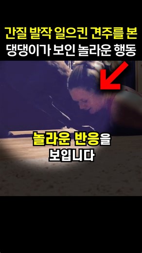 “와.. 어떻게 이런 생각을..” 간질 발작 일으킨 견주를 본 댕댕이가 보인 놀라운 행동