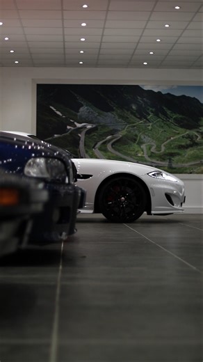 Autostore Europe / Marque1Cars on Instagram: "Another showroom refresh as vehicles find new homes. Considering selling yours? We’d be happy to talk. . . . #Carsales #Showroom #Carshowroom #Ferrari #Porsche #Supercars #Sportscars #PerformanceCars #LuxuryCars #Blacklist #InstaCar #CarGram #CarReel"