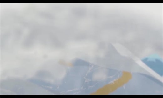 2D - Pari Gull Animation.mp4