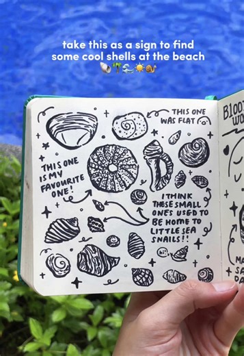 here’s a drawing of some cool shells I found at the beach last Christmas 🐚🏖️🌊☀️🐌 I find it so cool how shells come in different shapes, sizes and patterns. There are ones that are donut shaped, completely flat to ones that have a little handle. Perhaps take this as a sign to go explore a beach and see what cool treasures you can find 🙃🌟 #sketchbook #shells #beach #doodle #drawing