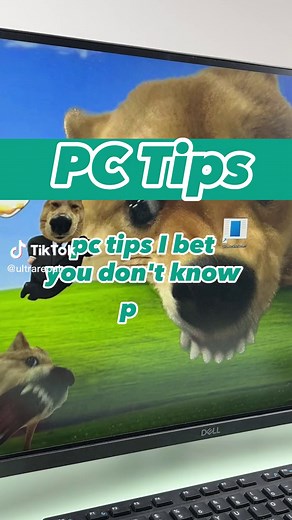 Fixing PC: Screen Goes Black Solutions