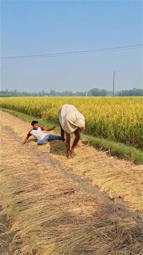 What did the cow do while working?😱 #funnycomedy #cowvideos #ihavethisthingwithplants