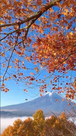 Stay in Kawaguchiko. Here, Fuji follows you everywhere you go!!!