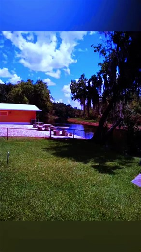 Exploring the Mystical Florida Interior Swamps