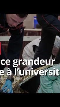 Full-scale exercise at the health center of the University of Reims