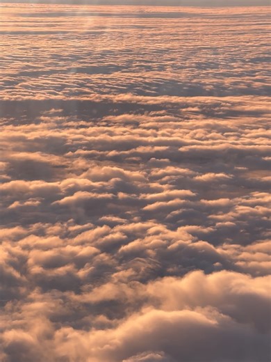 Candice Chalvin on Instagram: "2025, par où commencer ? (1/2) Tu as tant pris et tu as tout donné. En ce dernier jour de janvier, il est encore temps pour une rétrospective. Année de transformation et de transcendance du corps et de l’esprit. L’alignement de l’âme. L’esprit par les lieux qui font bouger les lignes. Les voyages du bout du monde en début d’année : Mexique en janvier, Inde en Avril, alors déjà enceinte de quelques jours. Partir seule pour la première fois, seule mais déjà avec toi,