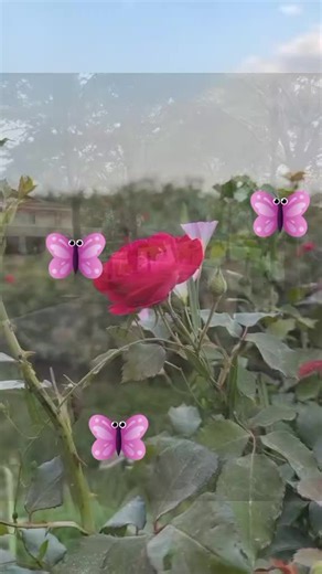 EVENT. LOG သည် TikTok ပေါ်တွင် ရှိသည်