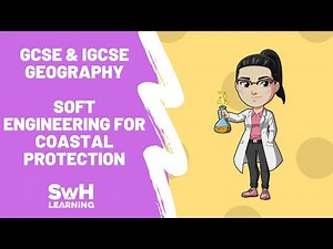 Soft Engineering Strategies For Coastal Flood Defences | GCSE & IGCSE Geography