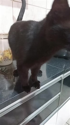 Os vídeos de Ana Valentina (@anav.gm.90) com Bom Dia Humana - Mega Audio BR