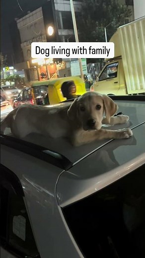 When your flatmates are bachelors 😂😭