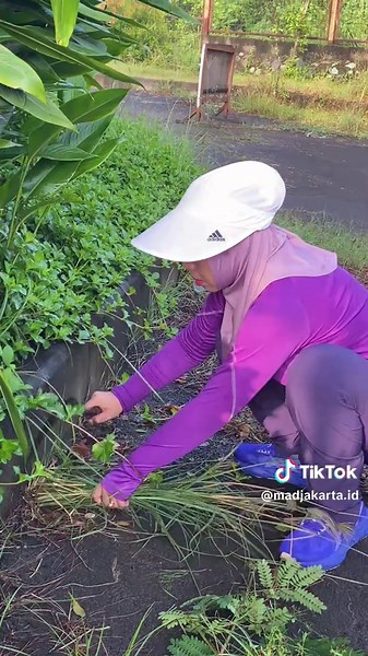 Pemkot Mojokerto konsisten jalankan Bike To Work (B2W) dan kerja bakti lingkungan. Langkah sederhana, dampak nyata hidup sehat dan kota makin bersih. #biketowork #b2w #kerjabakti #wfh #mojokerto