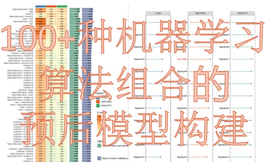 1. 手把手教学预后模型/100+种机器学习算法组合的预后模型构建/10种机器学习算法/特征基因筛选/数据分析/生物信息学