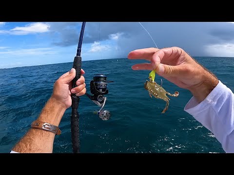 Hardest Fighting Fish I've Ever Caught On A Crab!!!! And Catch and Cook!