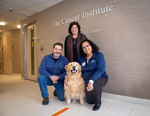 Veterinary Oncology - The Animal Medical Center - New York City