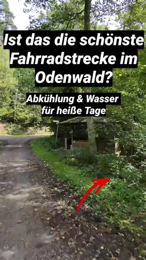 Radtour Dallau nach Buchen: schattiger Radweg im Odenwald