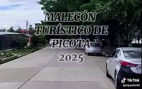 Picota a través de las décadas: un viaje al pasado