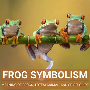 Frog Symbolism: Unlocking Its Meaning And Life Lessons