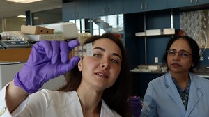 Motivation, decision-making, and telling our stories anyway - UBC Department of Psychology