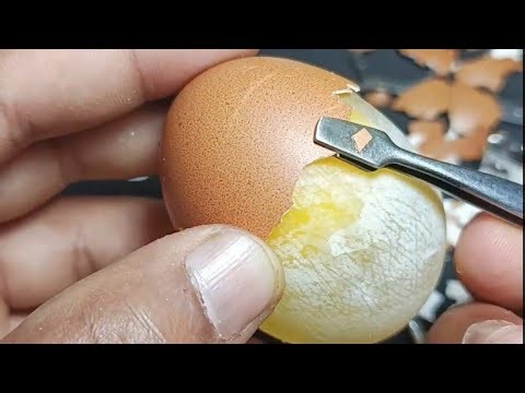 Raw Egg Peeling & Name Writing | Fun & Satisfying