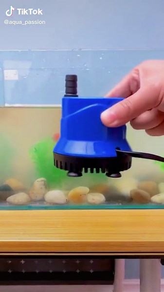 aqua_passion on TikTok