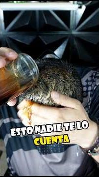 This Makes Hair Grow Like Crazy Without Using Chemicals #tips #hairloss #shorts