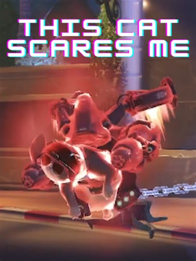 Hilarious Cat Skit Inspired by Overwatch Gameplay