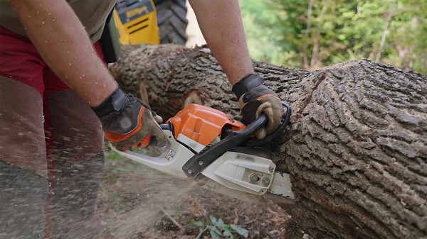 Witness the Fastest Chainsaw Machines Tackle Giant Trees