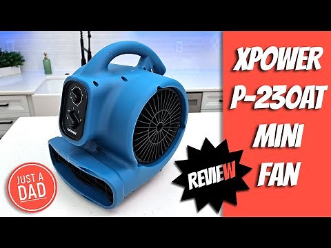 XPOWER P-230AT Mini Fan Review