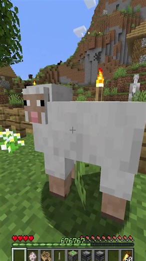 Minecraft Hide and Seek, But Im a Sheep! #shorts #minecraft