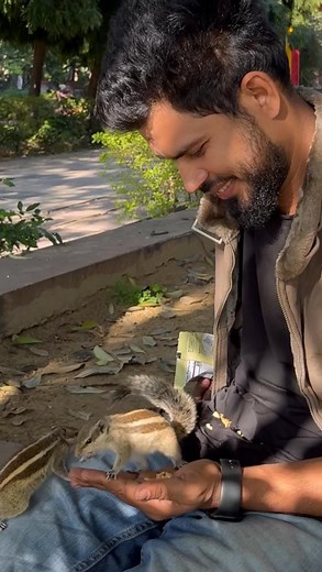 I simply want to be like the squirrel in the building of Râma’s bridge, who was quite content to put on the bridge his little quota of sand-dust. squirrel who provided his best help to build the bridge of Rama Chandra . . Comment jai shree Ram🙏❤️ #viralvideos #squirrel #trending #foryou #loveyou #cutebaby #explorepage✨ #mayurprajapat | Mayur prajapat