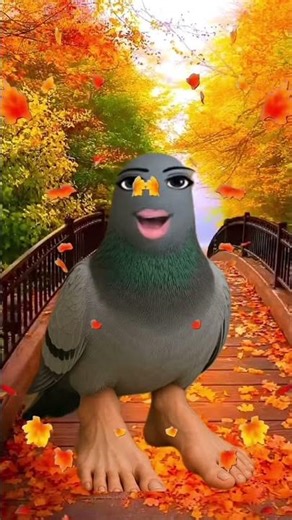 #burping #chiken #fypシ゚ #plsblowup #second #sunset #subscribe #like #goofy