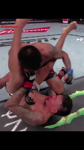 UFC ALL KNOCKOUT CARRIER#mma #boxing #viralvideo #shorts