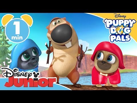 Puppy Dog Pals | Criss Cross Song with Bizzy the Beaver | ‪@disneykids‬