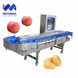 [Hot Item] Fruit Tomato Onion Potato Avocado Orange Fish Weight Sort Machine Fruit &Vegetable Grade Machine