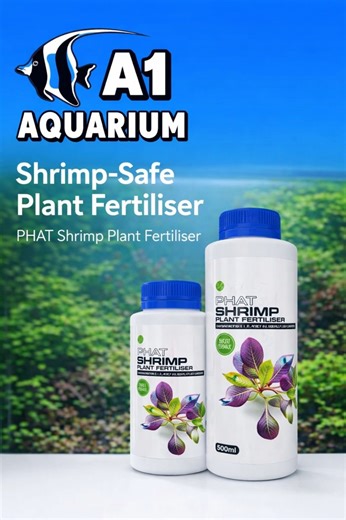 a1aquariumworld on Instagram: "Shrimp tanks are different. Your fertiliser should be too. PHAT Shrimp Plant Fertiliser is made for planted shrimp tanks where balance matters. It supports healthy plant growth without stressing your shrimp. No copper. No guesswork. Why you should grab this • Shrimp-safe formula • Supports steady plant growth • Simple, reliable dosing • Ideal for planted shrimp setups Available now at A1 Aquarium World. Come in and set your shrimp tank up right. Open from 9am 4/158