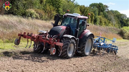 🌾 Semaine TPR pour nos Terminales Bac Pro CGEA ! Durant cette semaine de Travaux Pratiques Renforcés, les élèves ont réalisé toutes les étapes de mise en place d’un semis de blé tendre d’hiver, ainsi que l’implantation d’un couvert végétal. Au programme : • Broyage du couvert précédent • Déchaumage (déchaumeur à disques et à dents) • Labour • Semis d’une parcelle en couvert et d’une parcelle en blé tendre d’hiver • Simulation d’une pulvérisation d’herbicide (réalisée à l’eau) Ces travaux leur o