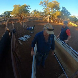 77 reactions · 6 comments | Time lapse of setting up for scanning the...