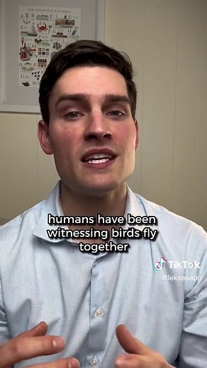 Origins of the Idiom 'Birds of a Feather' Explained